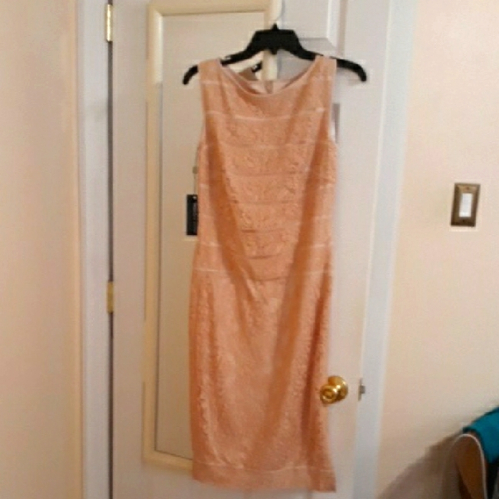 Tadashi Shoji Lace Midi Dress in Blush